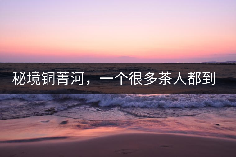 秘境銅菁河，一個很多茶人都到不了的地方