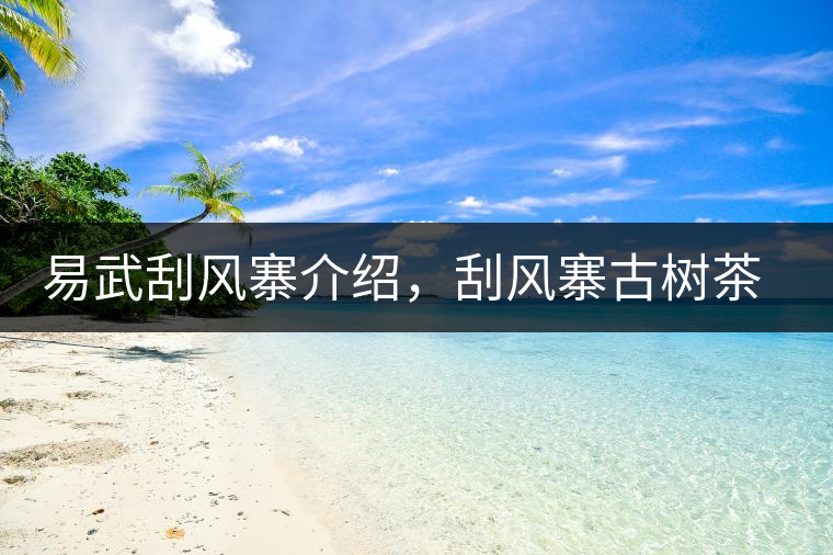 易武刮風(fēng)寨介紹，刮風(fēng)寨古樹(shù)茶口感特點(diǎn)