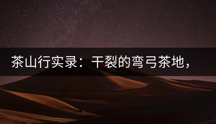 茶山行實錄：干裂的彎弓茶地，干旱減產已成定局