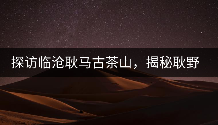 探訪臨滄耿馬古茶山，揭秘耿野生古茶樹群落