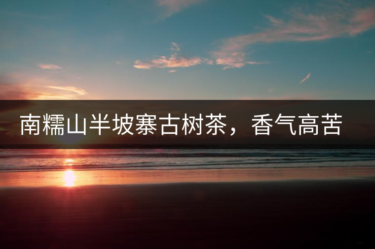 南糯山半坡寨古樹(shù)茶，香氣高苦味淡甜味重