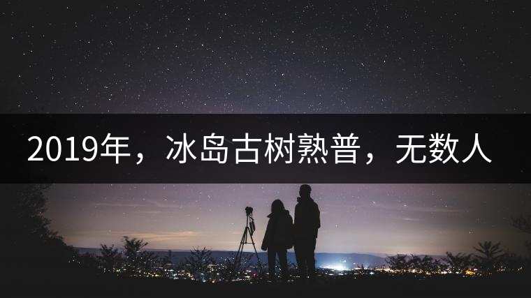 2019年，冰島古樹熟普，無數(shù)人在尋找