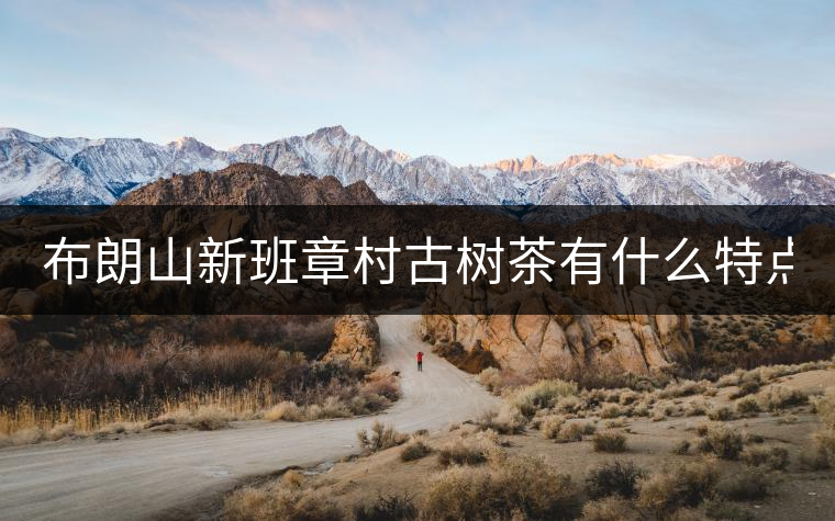 布朗山新班章村古樹茶有什么特點(diǎn)？