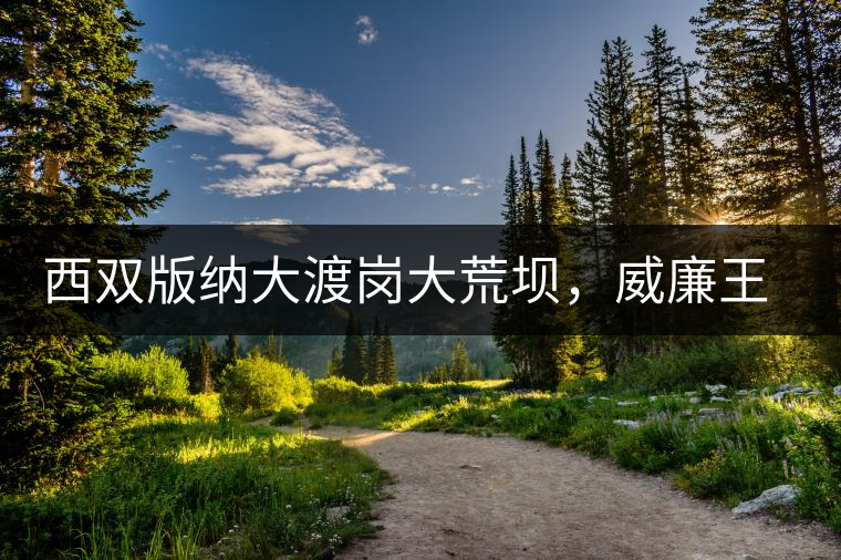 西雙版納大渡崗大荒壩，威廉王子曾經(jīng)到過的古樹茶山