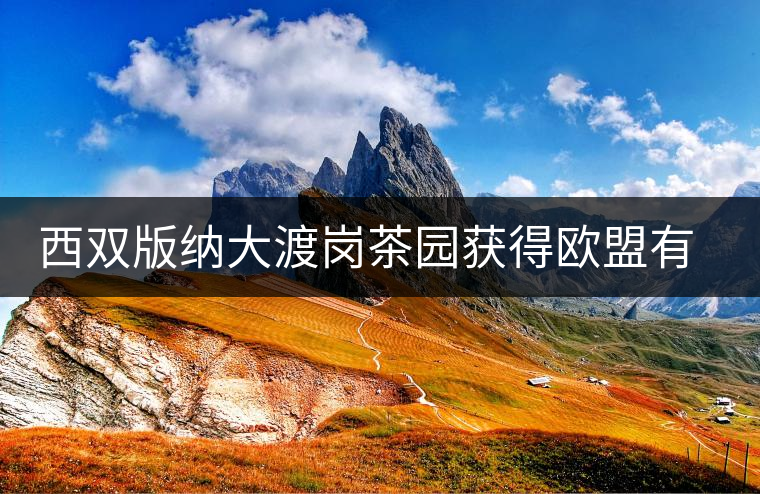 西雙版納大渡崗茶園獲得歐盟有機(jī)認(rèn)證