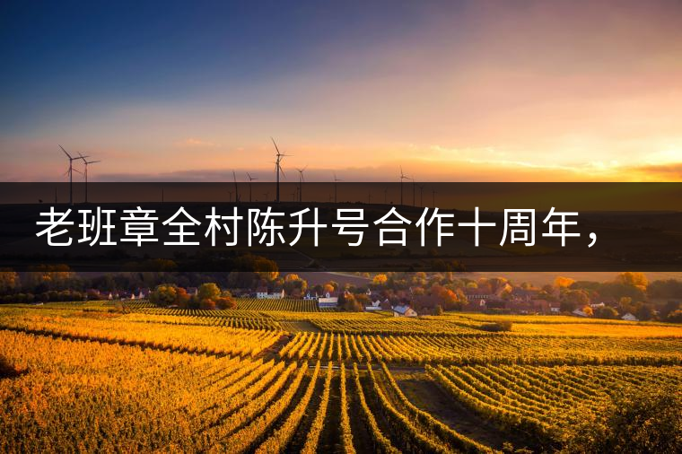 老班章全村陳升號(hào)合作十周年，贈(zèng)送千兩百家茶