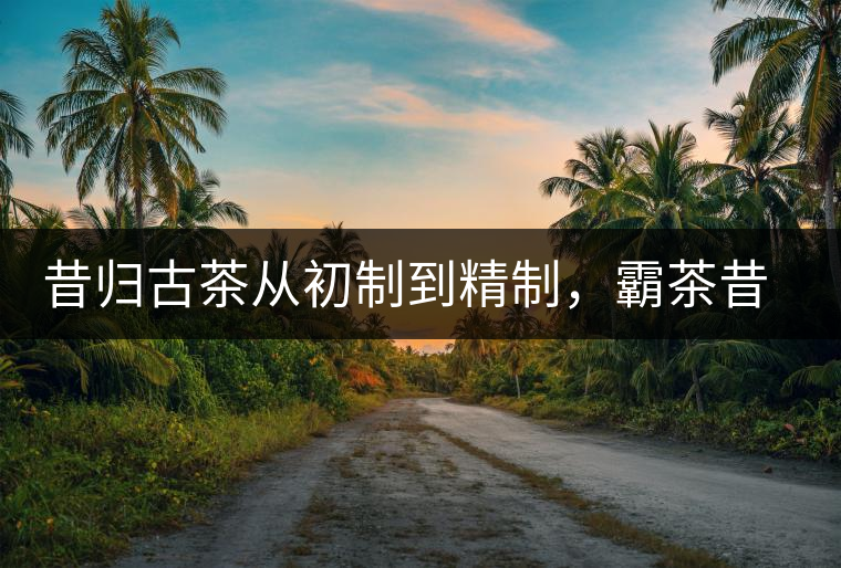 昔歸古茶從初制到精制，霸茶昔歸茶農(nóng)專業(yè)合作社成立