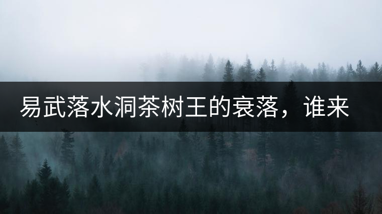 易武落水洞茶樹(shù)王的衰落，誰(shuí)來(lái)關(guān)注古樹(shù)茶？