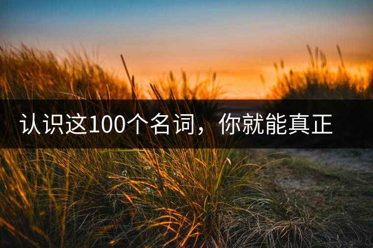 認識這100個名詞，你就能真正了解普洱茶？