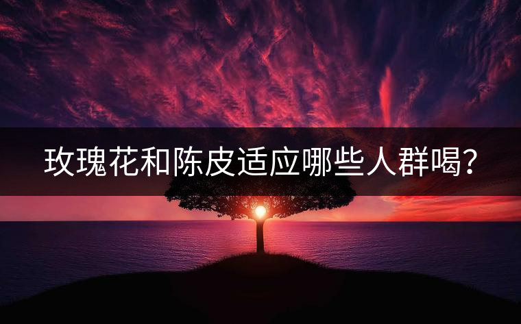 玫瑰花和陳皮適應(yīng)哪些人群喝？
