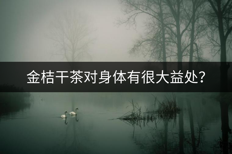 金桔干茶對(duì)身體有很大益處？