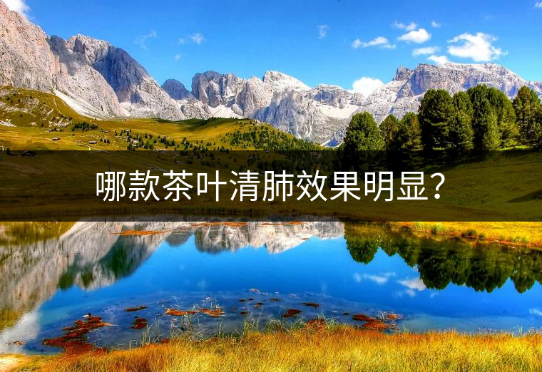 哪款茶葉清肺效果明顯？