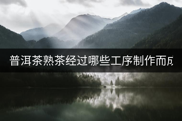 普洱茶熟茶經(jīng)過哪些工序制作而成？