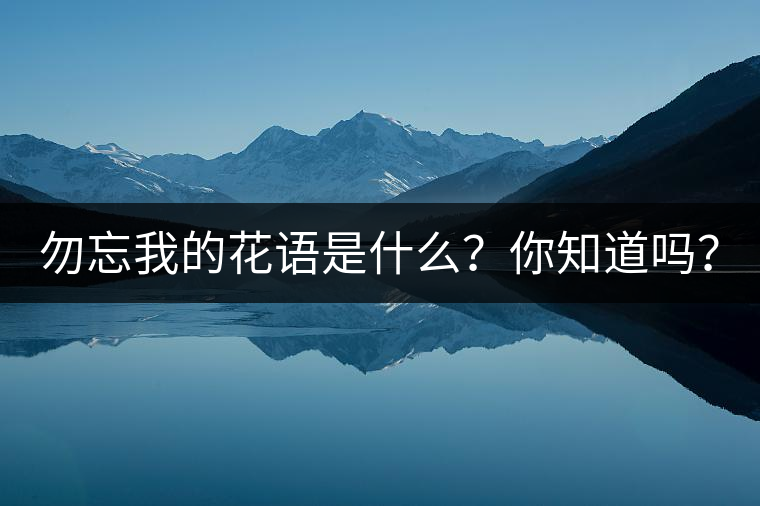 勿忘我的花語是什么？你知道嗎？