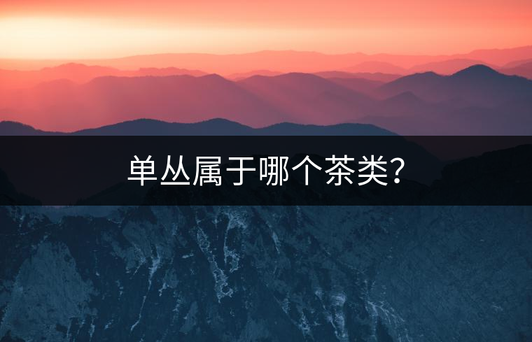 單叢屬于哪個(gè)茶類？