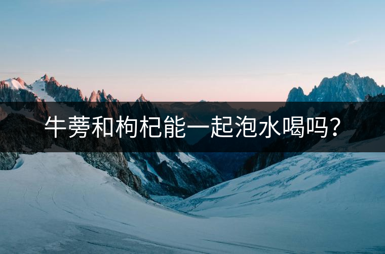 牛蒡和枸杞能一起泡水喝嗎？