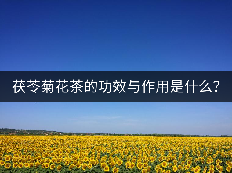 茯苓菊花茶的功效與作用是什么？