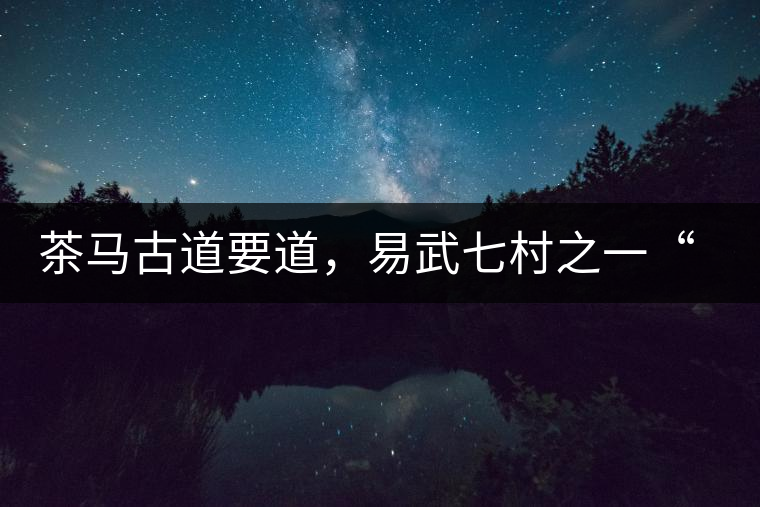 茶馬古道要道，易武七村之一“張家灣”古茶園