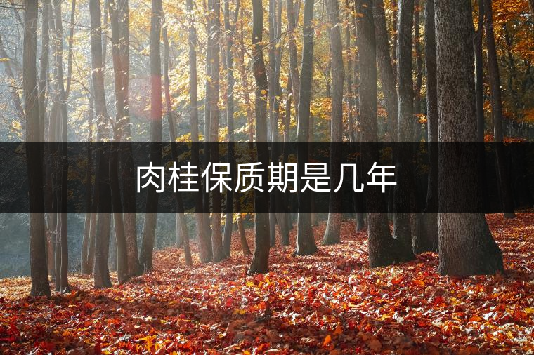 肉桂保質(zhì)期是幾年