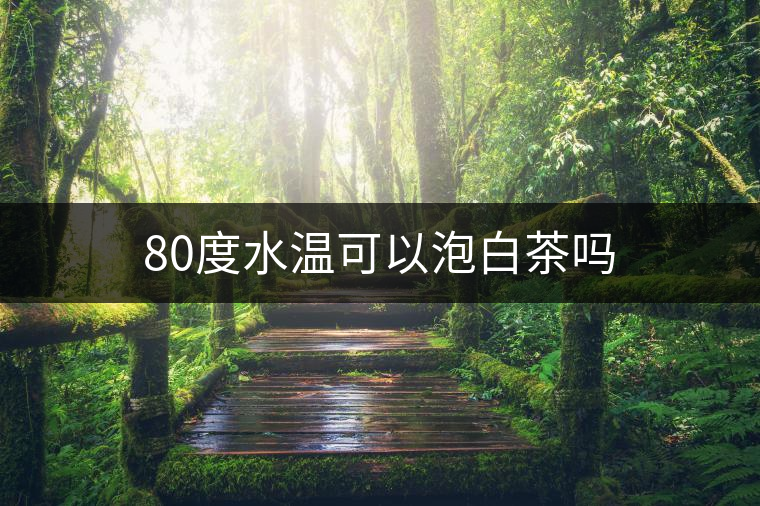 80度水溫可以泡白茶嗎 80度水溫可以泡白茶嗎