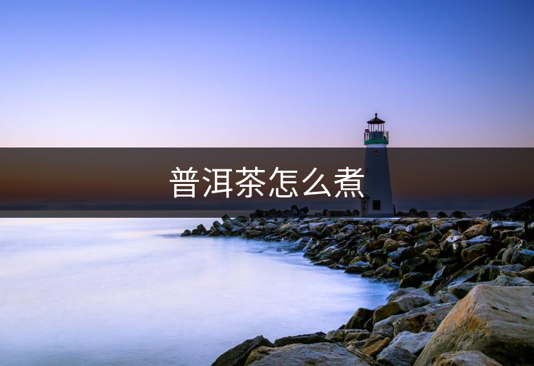 普洱茶怎么煮