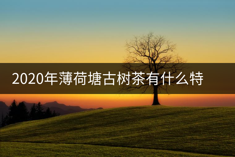 2020年薄荷塘古樹茶有什么特征？薄荷塘的價格及產(chǎn)量如何？-易武中聘號