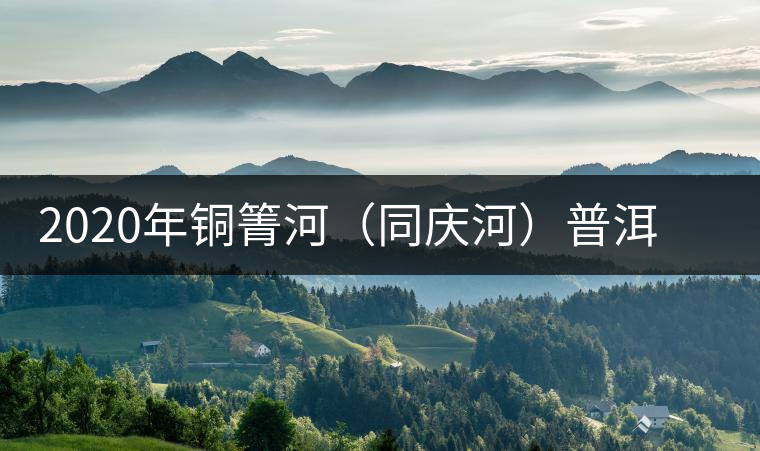 2020年銅箐河（同慶河）普洱茶，野味真難尋！-易武中聘號
