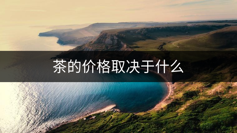 茶的價(jià)格取決于什么
