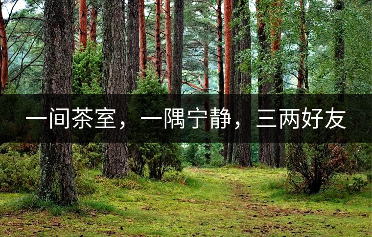 一間茶室，一隅寧靜，三兩好友