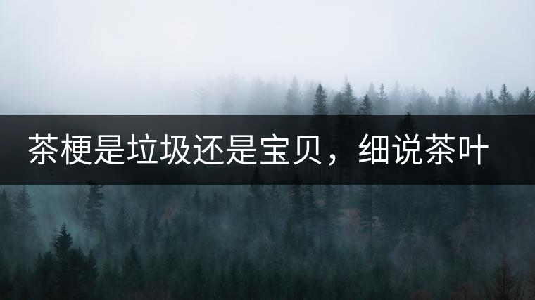 茶梗是垃圾還是寶貝，細說茶葉的那些梗