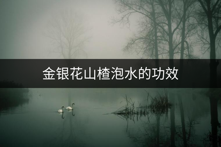 金銀花山楂泡水的功效 金銀花山楂泡水的功效