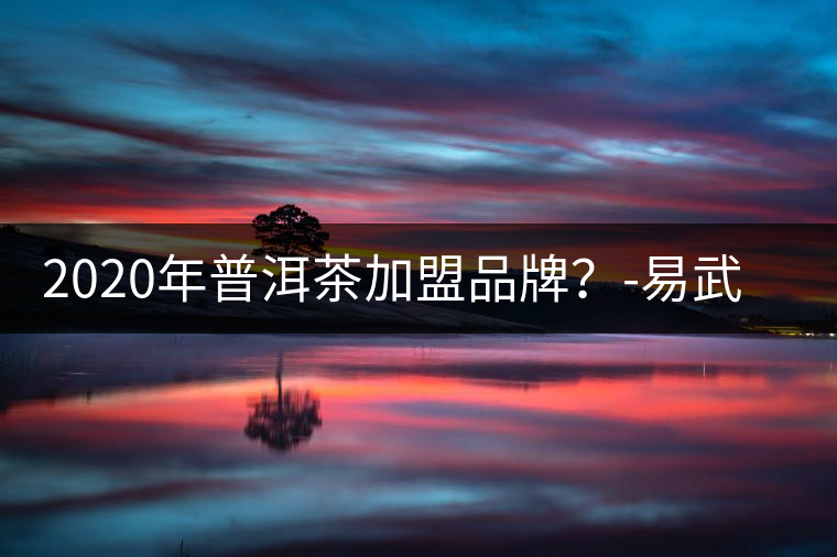 2020年普洱茶加盟品牌？-易武中聘號(hào)