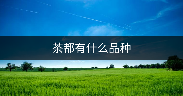 茶都有什么品種 茶都有什么品種