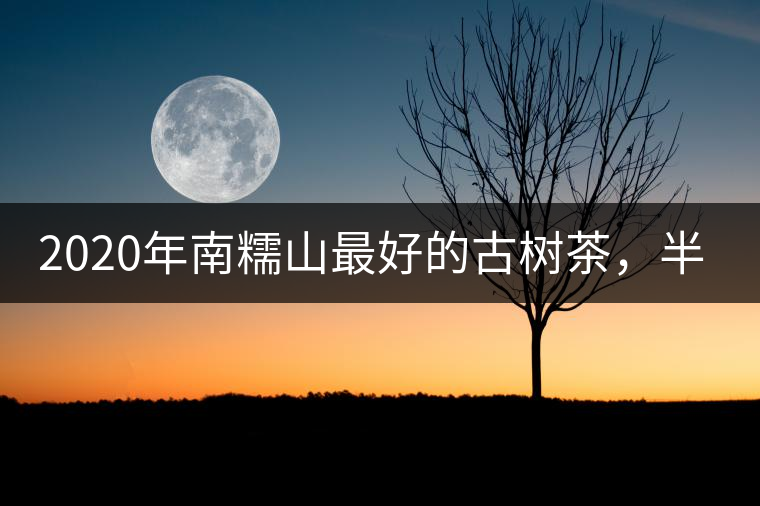 2020年南糯山最好的古樹茶，半坡老寨！-易武中聘號