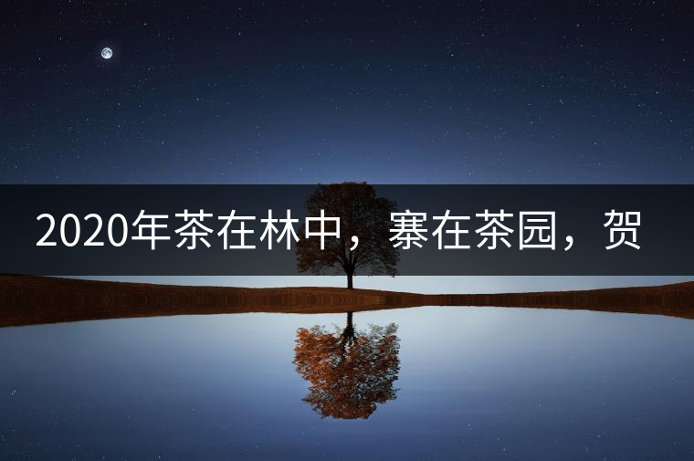 2020年茶在林中，寨在茶園，賀開(kāi)古樹(shù)茶-易武中聘號(hào)