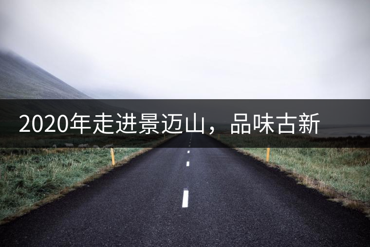 2020年走進(jìn)景邁山，品味古新六大茶山古樹茶之韻-易武中聘號(hào)