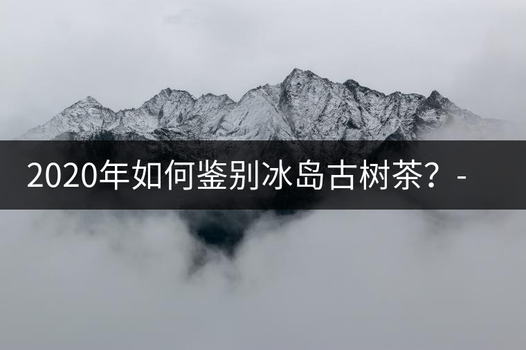 2020年如何鑒別冰島古樹茶？-易武中聘號
