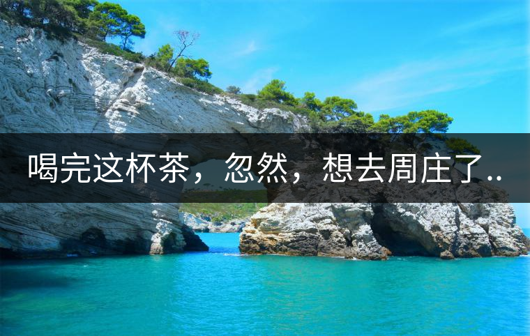 喝完這杯茶，忽然，想去周莊了...
