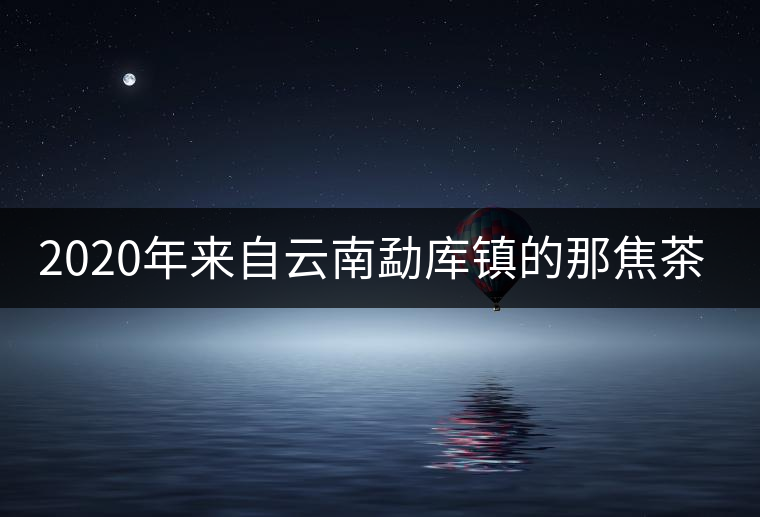 2020年來(lái)自云南勐庫(kù)鎮(zhèn)的那焦茶-易武中聘號(hào)