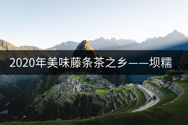 2020年美味藤條茶之鄉(xiāng)——壩糯-易武中聘號(hào) 2020年美味藤條茶之鄉(xiāng)——壩糯-易武中聘號(hào)