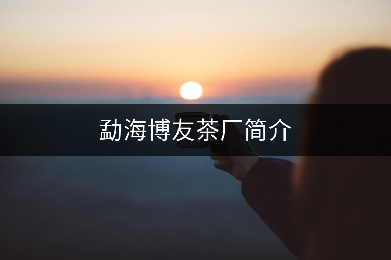 勐海博友茶廠簡介