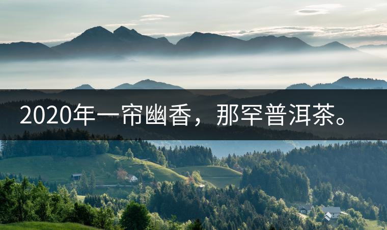 2020年一簾幽香，那罕普洱茶。-易武中聘號