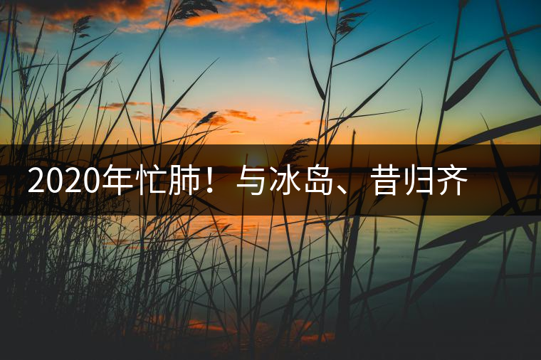 2020年忙肺！與冰島、昔歸齊名的普洱茶，到底是什么味道？-易武中聘號(hào)