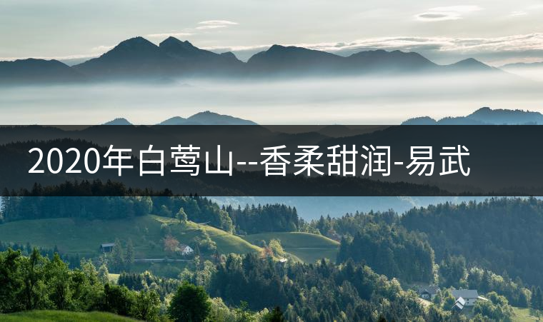 2020年白鶯山--香柔甜潤-易武中聘號(hào)