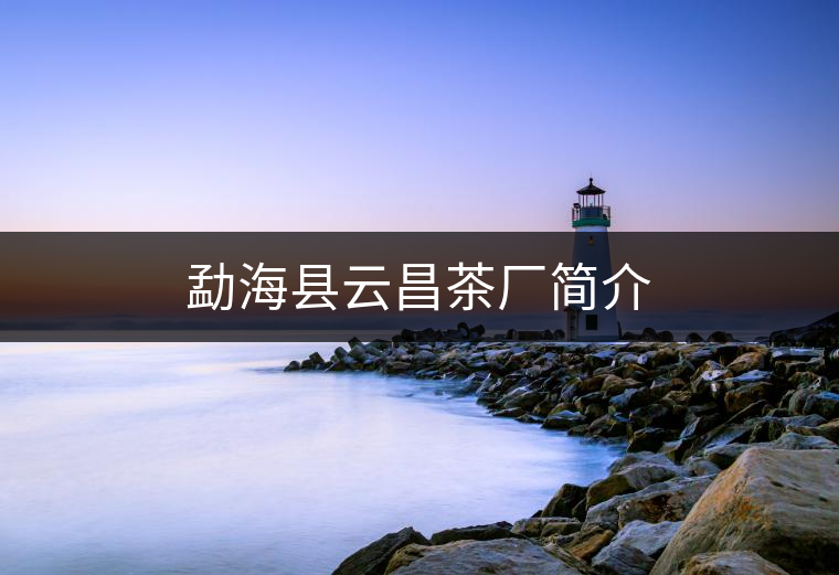 勐?？h云昌茶廠簡介
