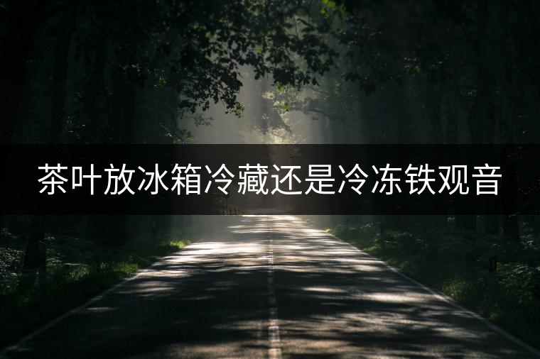 茶葉放冰箱冷藏還是冷凍鐵觀音 茶葉放冰箱冷藏還是冷凍鐵觀音