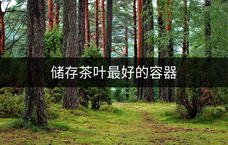 儲(chǔ)存茶葉最好的容器 儲(chǔ)存茶葉最好的容器