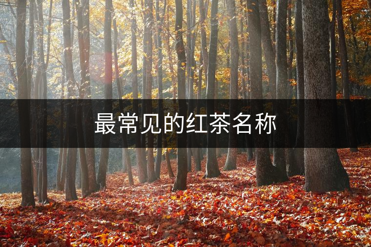 最常見(jiàn)的紅茶名稱