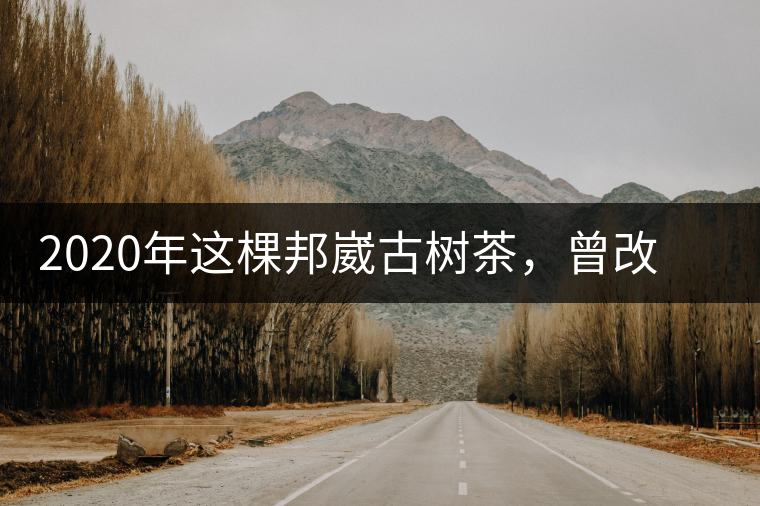 2020年這棵邦崴古樹茶，曾改寫普洱茶歷史！-易武中聘號(hào)