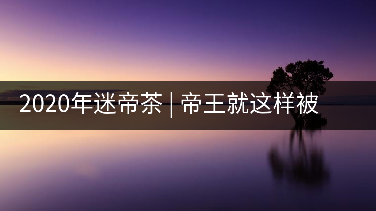 2020年迷帝茶 | 帝王就這樣被迷住了？-易武中聘號